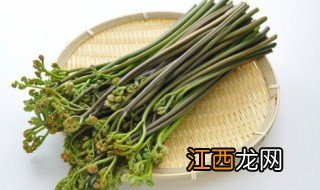 蕨菜根怎么吃 蕨菜根怎么吃才好吃