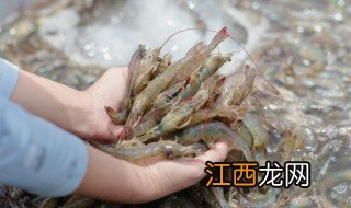 醉虾是哪里的菜，醉虾是哪里的菜品