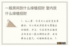 一般房间放什么绿植招财 室内放什么绿植招财