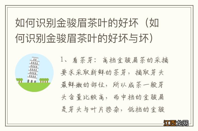 如何识别金骏眉茶叶的好坏与坏 如何识别金骏眉茶叶的好坏