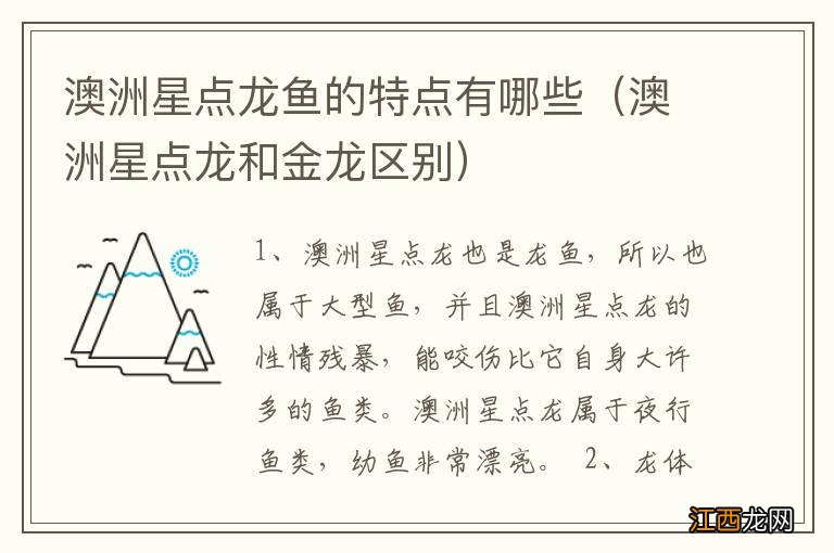 澳洲星点龙和金龙区别 澳洲星点龙鱼的特点有哪些