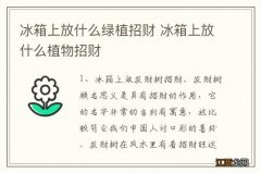 冰箱上放什么绿植招财 冰箱上放什么植物招财