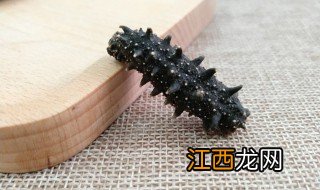 半干海参怎么泡发好 半干海参怎么泡发