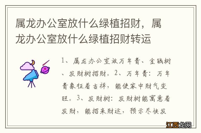 属龙办公室放什么绿植招财，属龙办公室放什么绿植招财转运