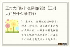 正对大门放什么绿植好 正对大门放什么绿植招财