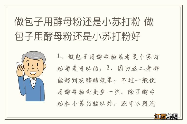 做包子用酵母粉还是小苏打粉 做包子用酵母粉还是小苏打粉好