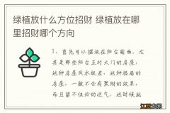 绿植放什么方位招财 绿植放在哪里招财哪个方向