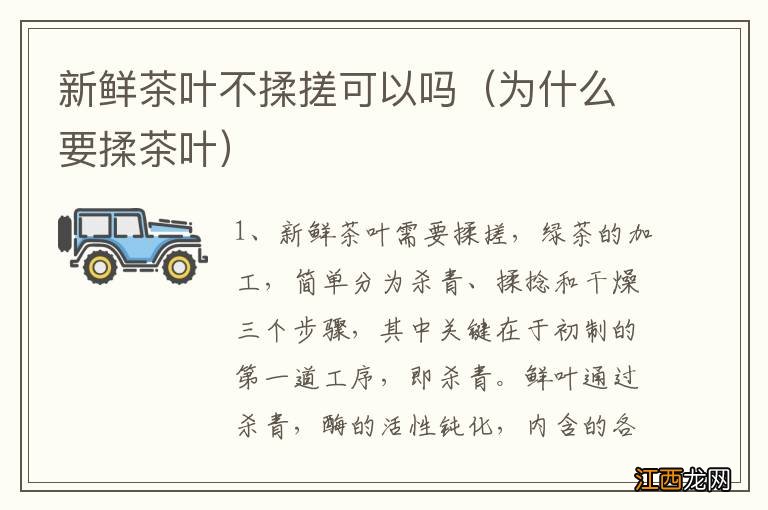 为什么要揉茶叶 新鲜茶叶不揉搓可以吗