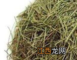 松针的功效与作用 松针长期服用的危害