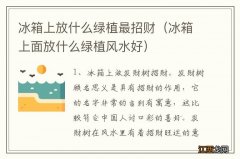 冰箱上面放什么绿植风水好 冰箱上放什么绿植最招财