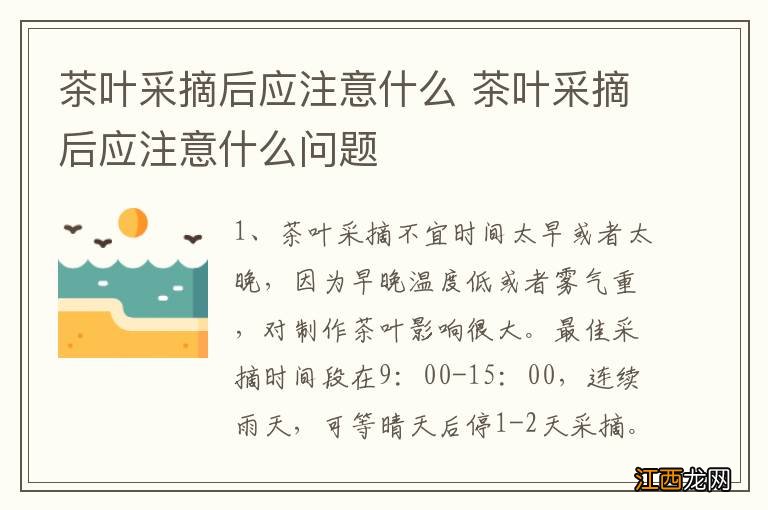 茶叶采摘后应注意什么 茶叶采摘后应注意什么问题