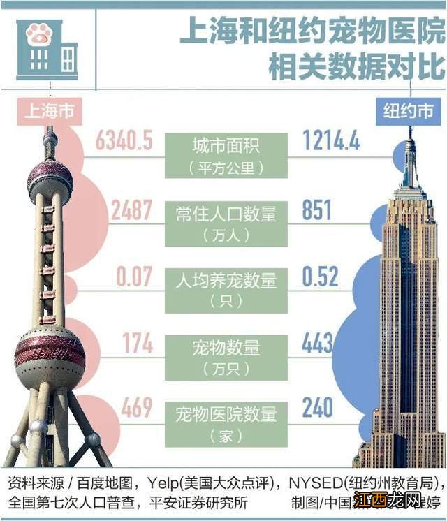 因为看病贵,他们放弃了自己的宠物