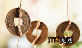 门店门口放什么绿植招财，店铺门口放什么绿植招财