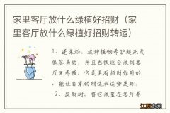 家里客厅放什么绿植好招财转运 家里客厅放什么绿植好招财