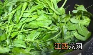 豌豆尖的长期保存方法图片 豌豆尖的长期保存方法