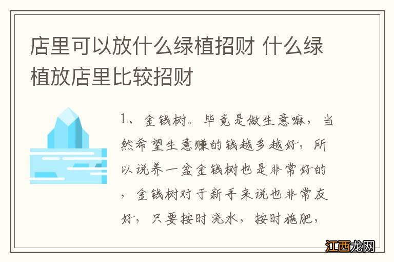 店里可以放什么绿植招财 什么绿植放店里比较招财