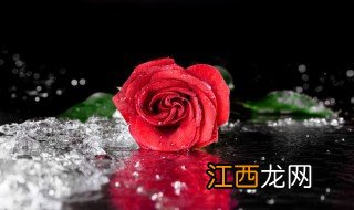 鲜花怎么保鲜玫瑰，鲜花怎么保鲜玫瑰花瓣