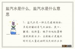 盐汽水是什么，盐汽水是什么意思