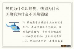 热狗为什么叫热狗，热狗为什么叫热狗为什么不叫热猫呢