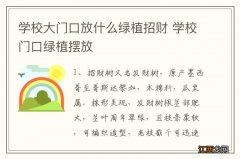 学校大门口放什么绿植招财 学校门口绿植摆放