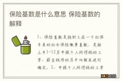 保险基数是什么意思 保险基数的解释