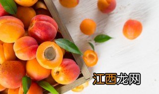 杏子是什么时候成熟的 杏子是几月份成熟