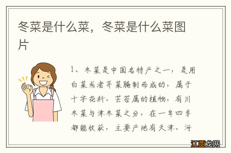 冬菜是什么菜,冬菜是什么菜图片