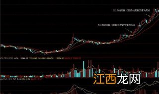 指数基金是什么意思 关于指数基金的解释