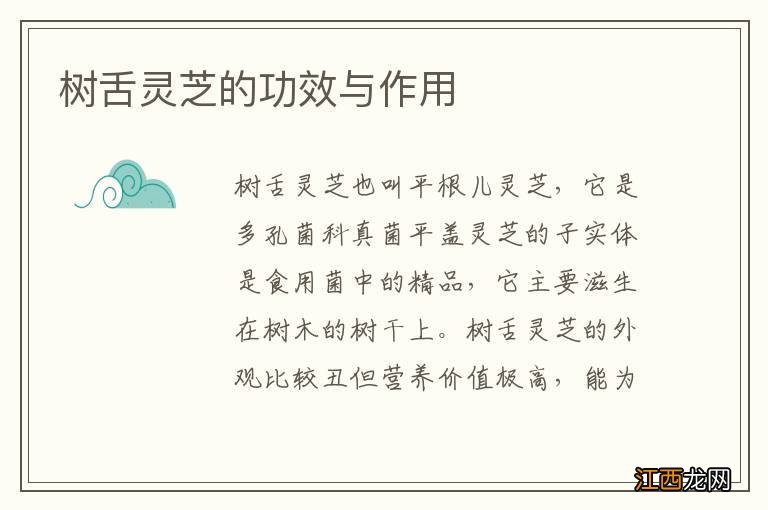 树舌灵芝的功效与作用