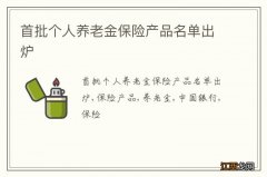 首批个人养老金保险产品名单出炉