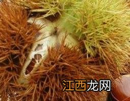 板栗花的功效与作用 板栗花的药用价值