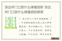 派出所门口放什么绿植招财 派出所门口放什么绿植招财辟邪