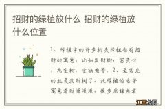 招财的绿植放什么 招财的绿植放什么位置