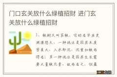 门口玄关放什么绿植招财 进门玄关放什么绿植招财