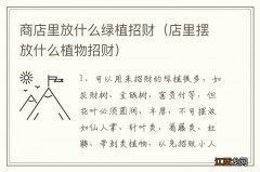 店里摆放什么植物招财 商店里放什么绿植招财