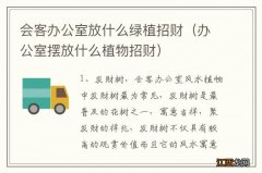 办公室摆放什么植物招财 会客办公室放什么绿植招财