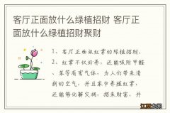 客厅正面放什么绿植招财 客厅正面放什么绿植招财聚财