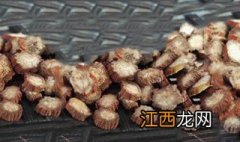 血参的功效与作用图片 血参的功效与作用