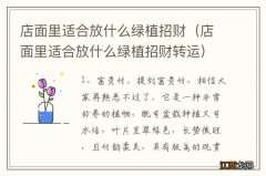 店面里适合放什么绿植招财转运 店面里适合放什么绿植招财