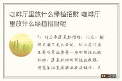 咖啡厅里放什么绿植招财 咖啡厅里放什么绿植招财呢