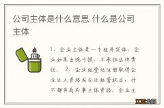 公司主体是什么意思 什么是公司主体