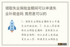 领取失业保险金期间可以申请失业补助金吗 竟然是可以的