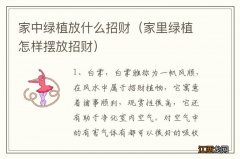 家里绿植怎样摆放招财 家中绿植放什么招财