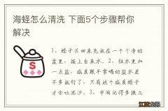 海蛏怎么清洗 下面5个步骤帮你解决