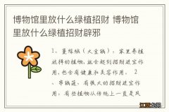 博物馆里放什么绿植招财 博物馆里放什么绿植招财辟邪