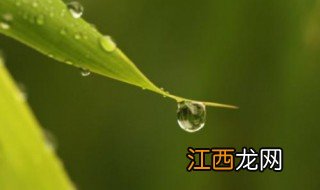 白露是几月几号