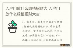 入户门放什么绿植招财大 入户门放什么绿植招财大吉