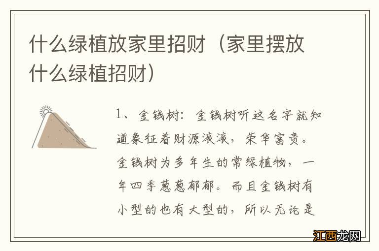 家里摆放什么绿植招财 什么绿植放家里招财