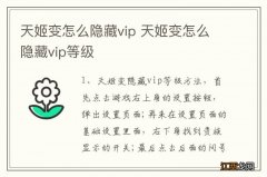 天姬变怎么隐藏vip 天姬变怎么隐藏vip等级