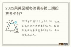 2022莱芜区暖冬消费券第二期投放多少钱？